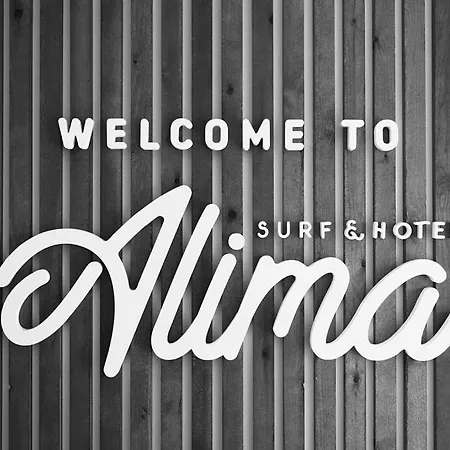 Alima Surf & *