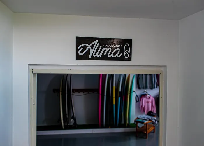 Alima Surf &