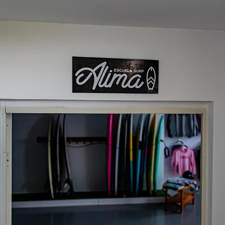 Alima Surf &